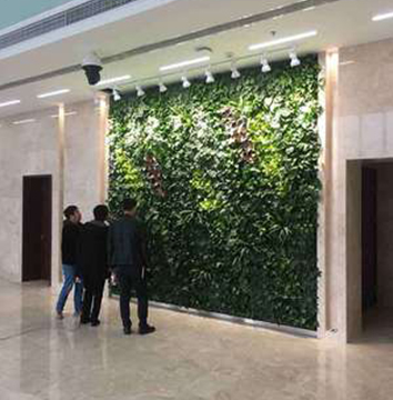 红桥区创意产业园办公楼大堂植物墙
