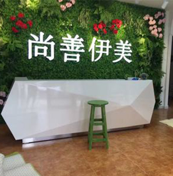 河北省沧州市尚善伊美美容连锁店仿真植物墙