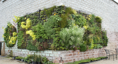 私家别院植物墙项目