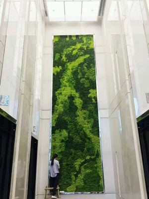 永生苔藓植物墙部分案例