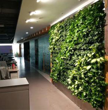平安保险办公大楼植物墙 (1)