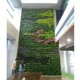 植物墙