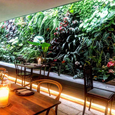 植物墙