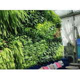 植物墙