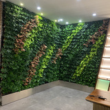 植物墙