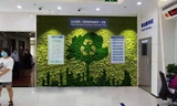 植物绿墙