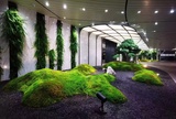 植物绿墙