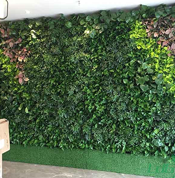 绿城地产售楼部植物墙