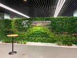 植物墙