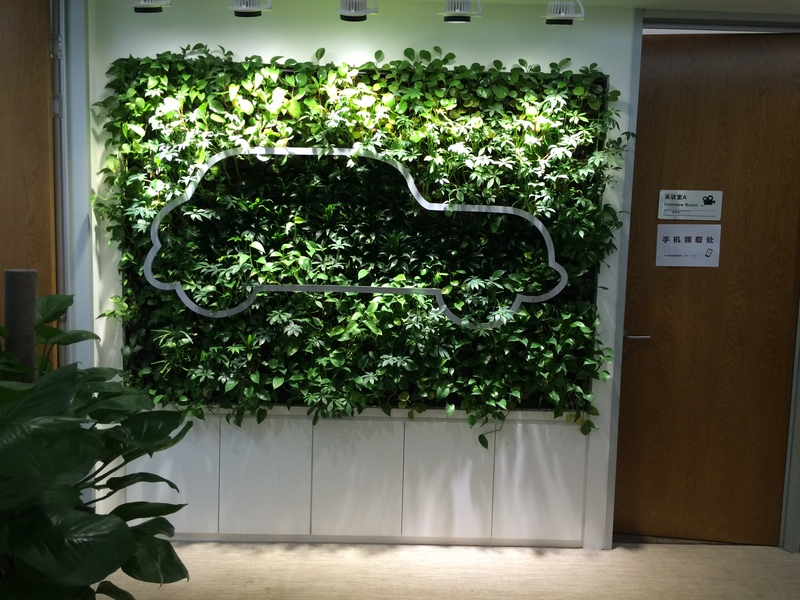 汽车销售公司植物墙