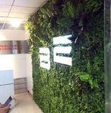 中关村E谷（南开）创想世界旅行社植物墙