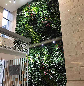 某银行植物墙