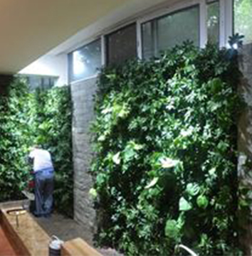 黄骅市华林机械厂植物墙