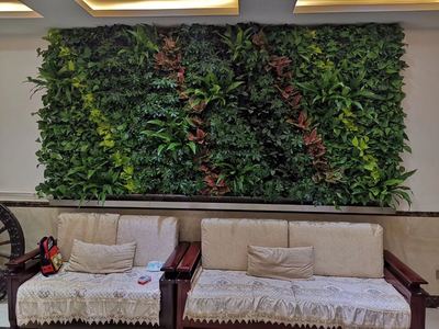 植物墙进家庭
