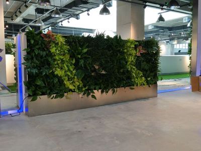 亿华录信息技术公司植物墙