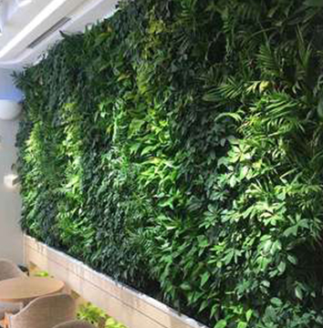 好利来杨村三中店