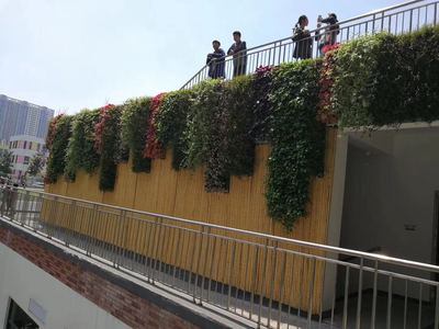 中铁建川安国公司植物墙
