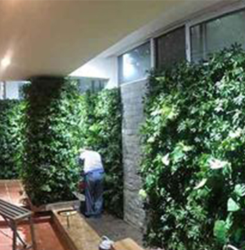 私人别墅植物墙