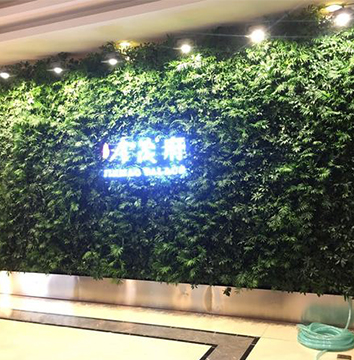金茂府销售中心植物墙
