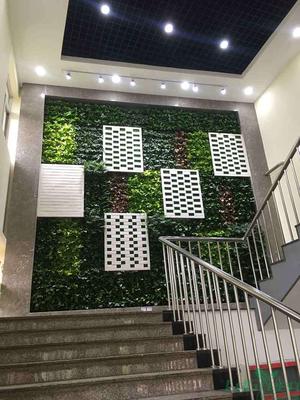 南开大学附属中学植物墙