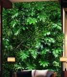 部分仿真植物墙展示