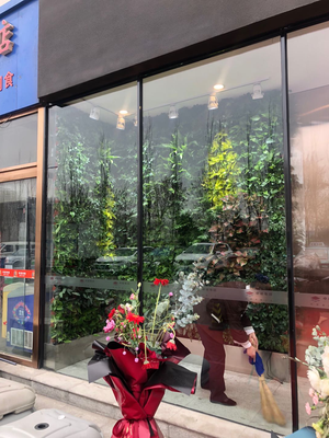 **云门销售中心植物墙